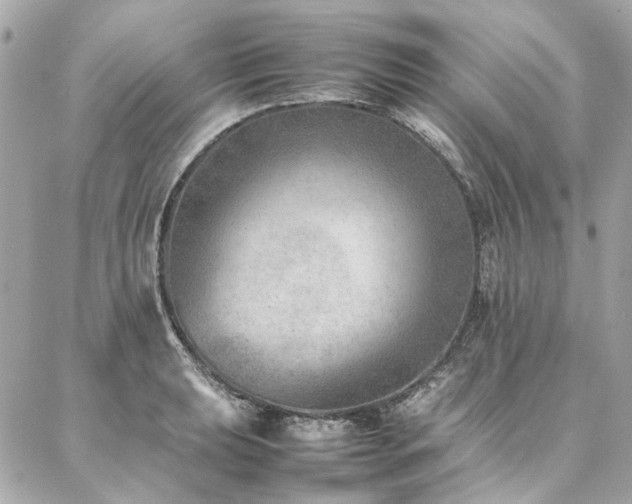 X0000086971039200704161538