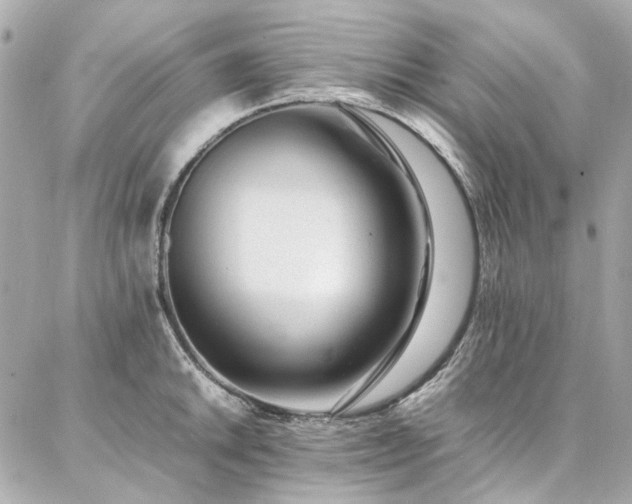 X0000086971046200704161538