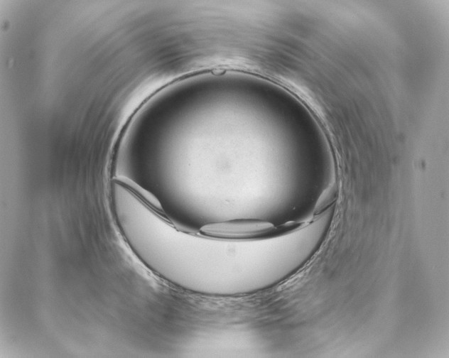 X0000086971056200704161539