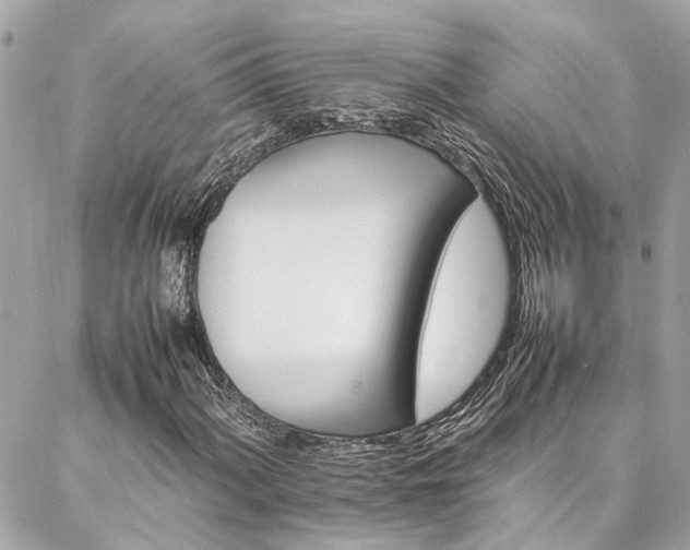 X0000086971060200704161538
