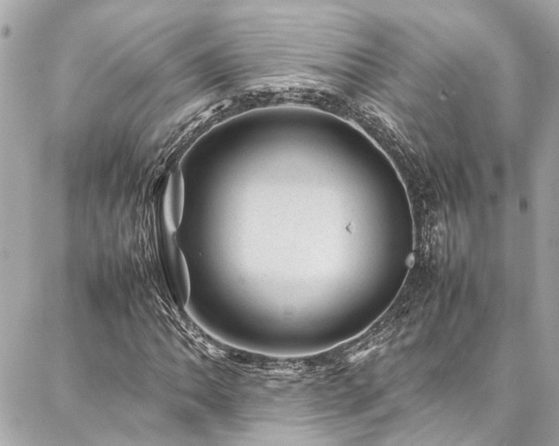 X0000086971062200704161538