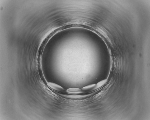 X0000086971068200704161538