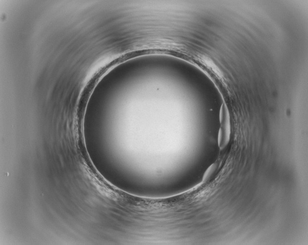 X0000086971072200704161538