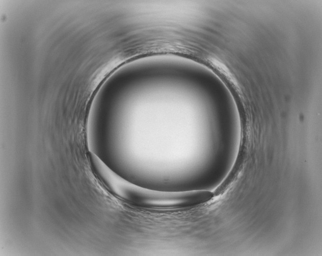 X0000086971089200704161537