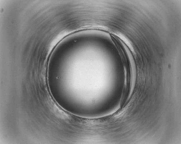 X0000086971102200704161537