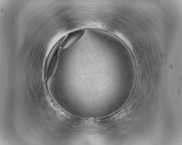 X0000086971104200704161537
