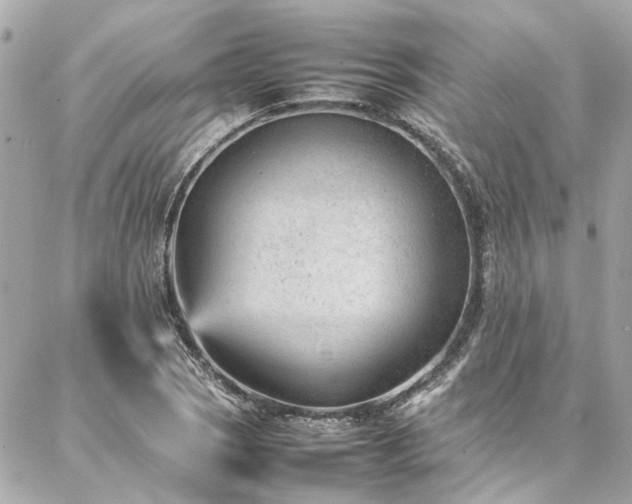 X0000086971121200704161537