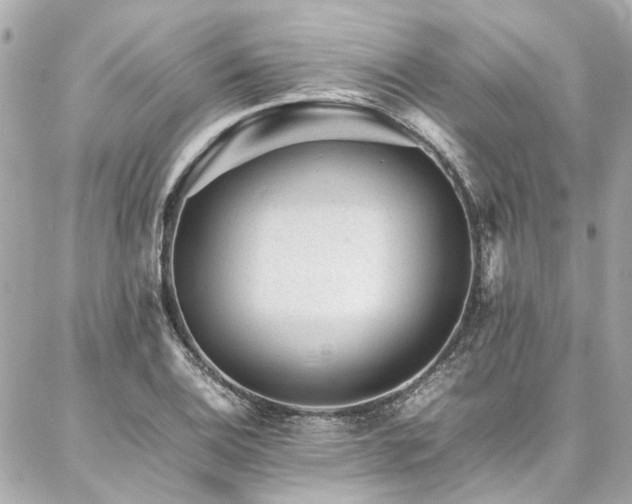 X0000086971124200704161537