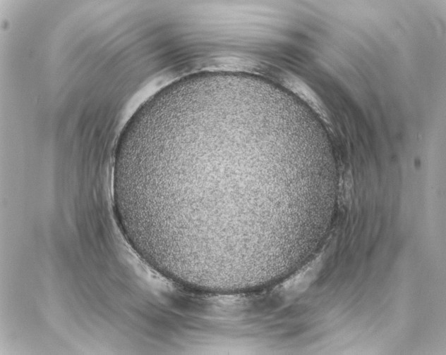 X0000086971130200704161537