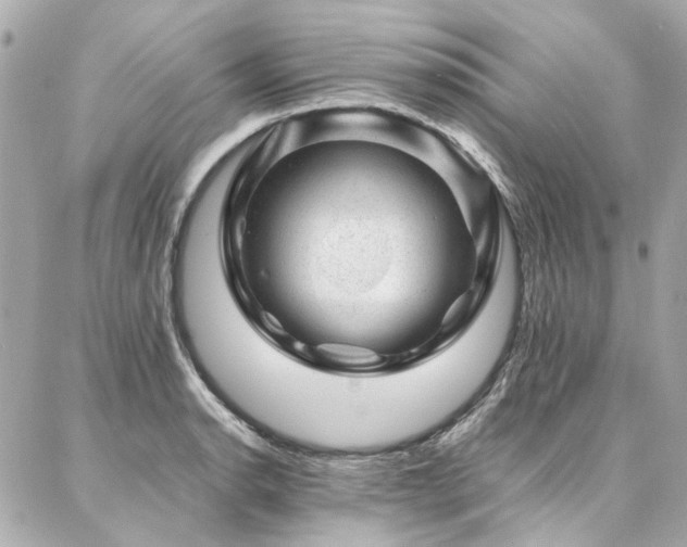 X0000086971134200704161537