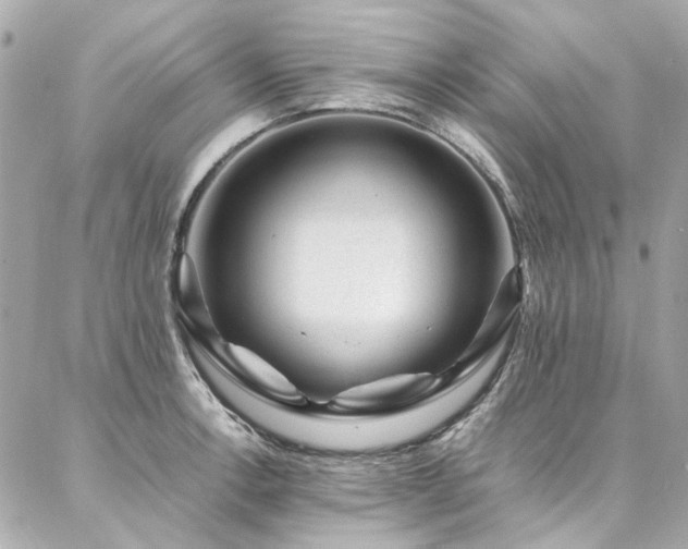 X0000086971138200704161537