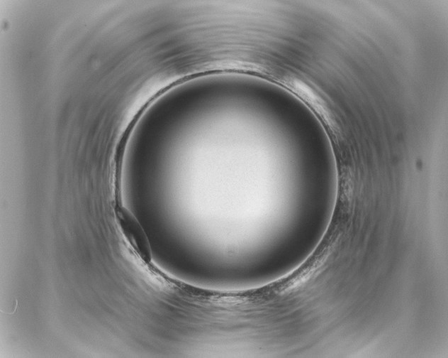 X0000086971140200704161537