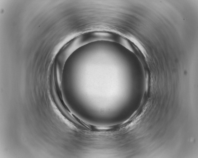 X0000086971142200704161537