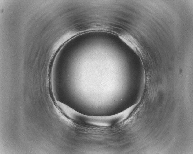 X0000086971143200704161537