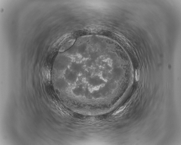 X0000086971155200704161536