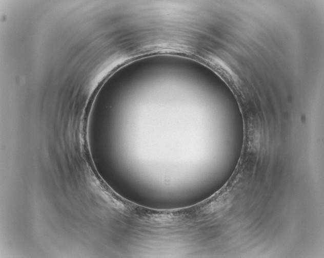 X0000086971182200704161536