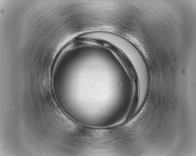 X0000086971184200704161536