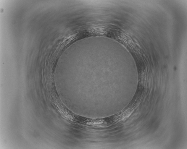 X0000086971201200704161535
