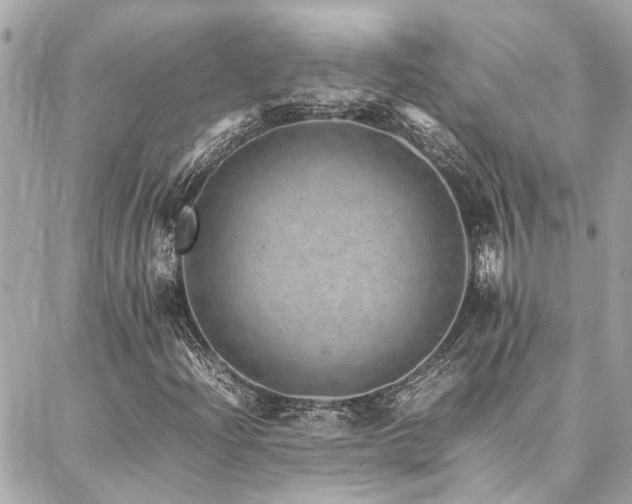 X0000086971204200704161535