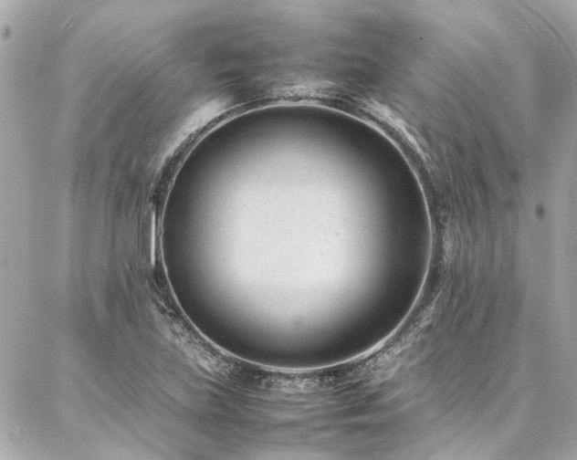 X0000086971219200704161535