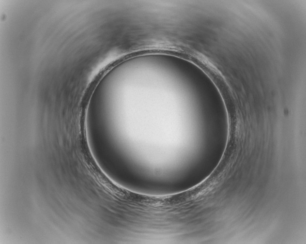 X0000086971222200704161535