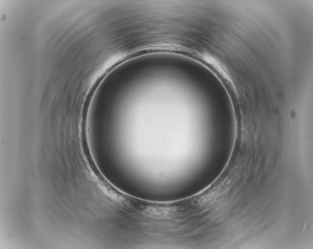 X0000086971237200704161535