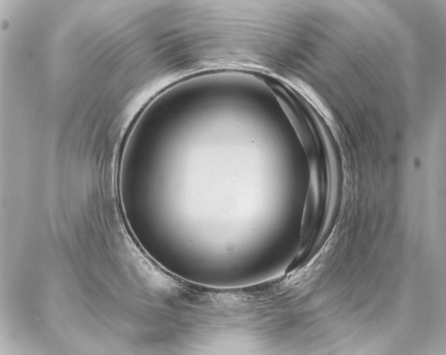 X0000086971246200704161535