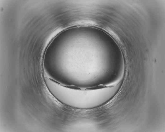 X0000086971248200704161535
