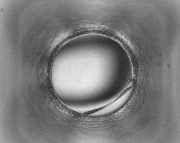 X0000086971261200704161535