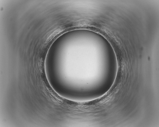 X0000086971265200704161534