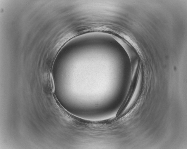 X0000086971281200704161534