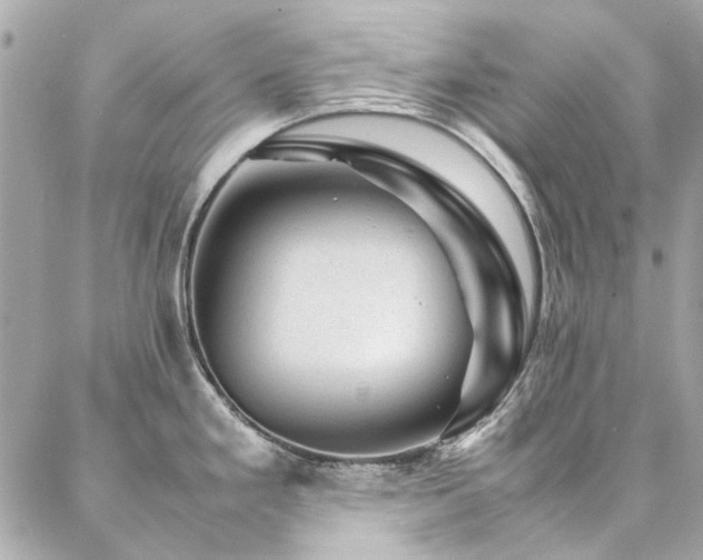 X0000086971293200704161534