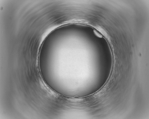 X0000086971296200704161534