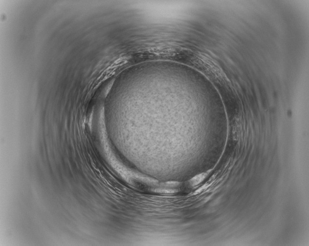 X0000086971298200704161533