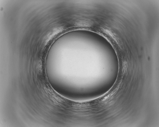 X0000086971307200704161533