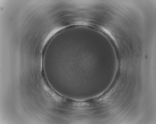 X0000086971323200704161534