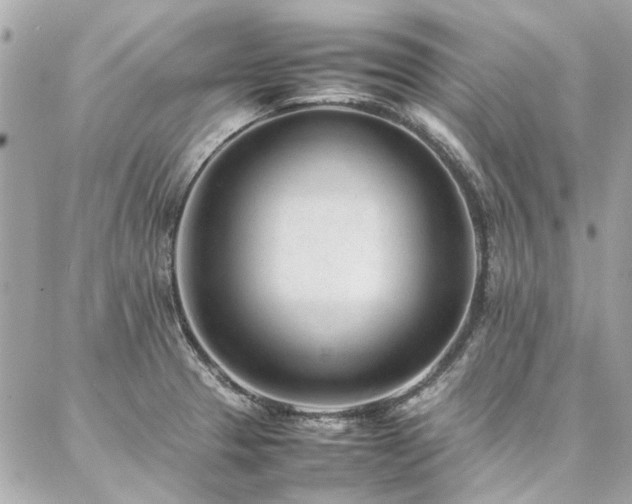 X0000086971329200704161534