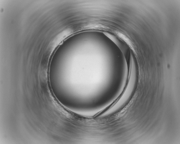 X0000086971330200704161534