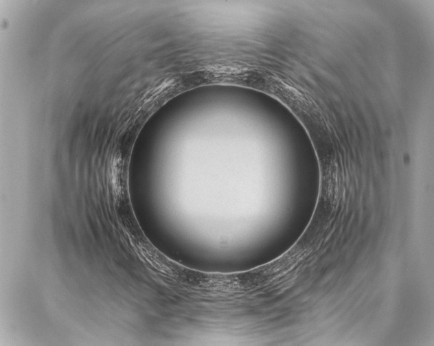 X0000086971346200704161533