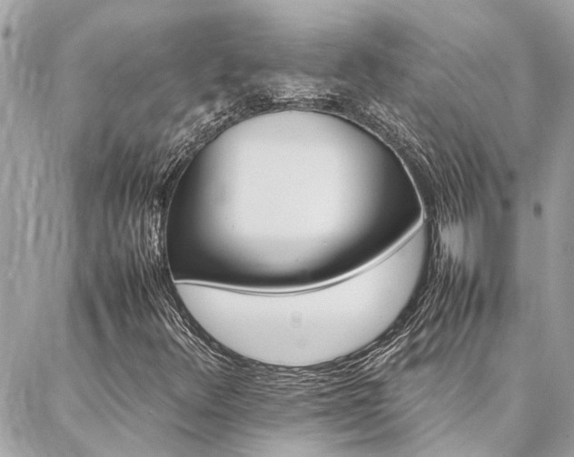 X0000086971348200704161533