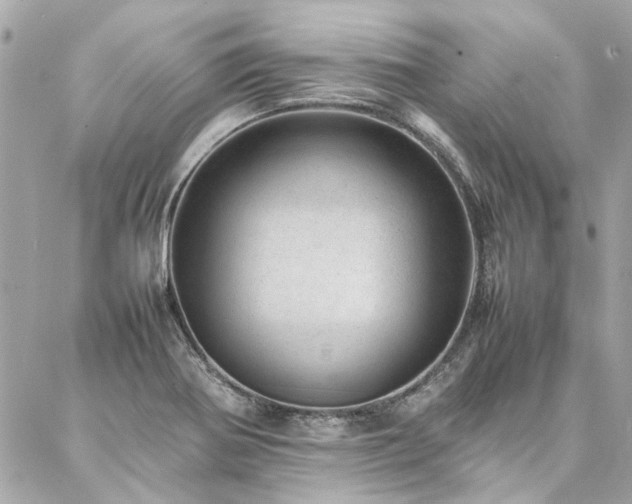 X0000086971370200704161533