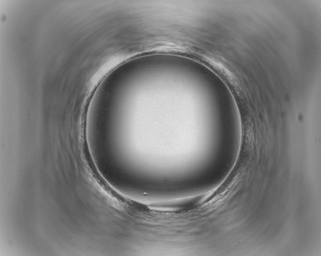 X0000086971375200704161533