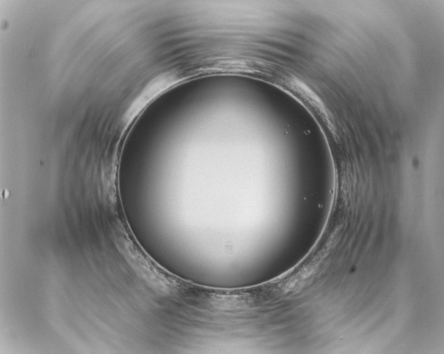 X0000086971378200704161533
