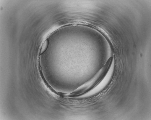 X0000086971379200704161533