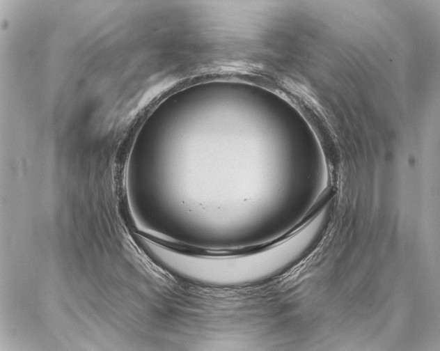 X0000086971404200704161532