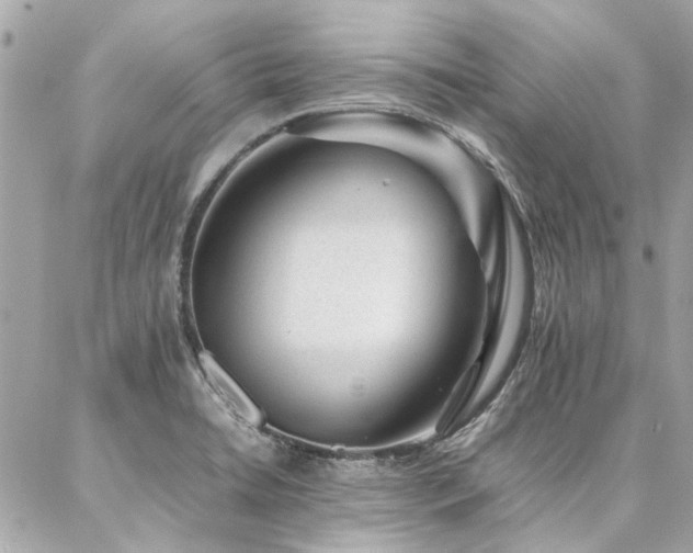 X0000086971422200704161532