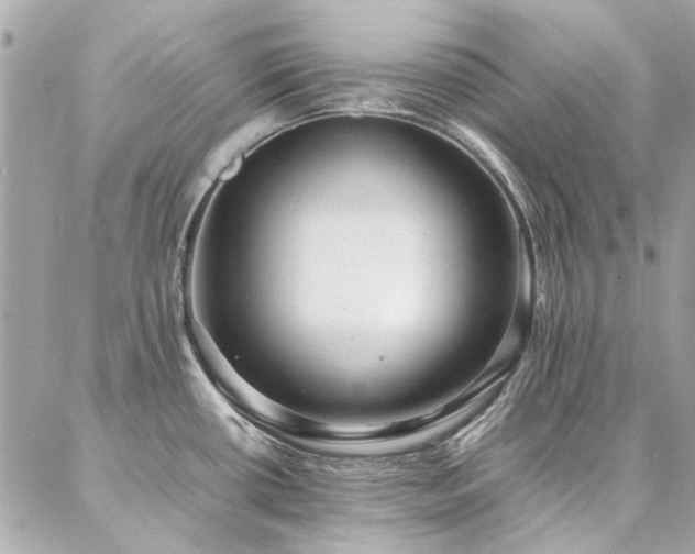 X0000086971434200704161532