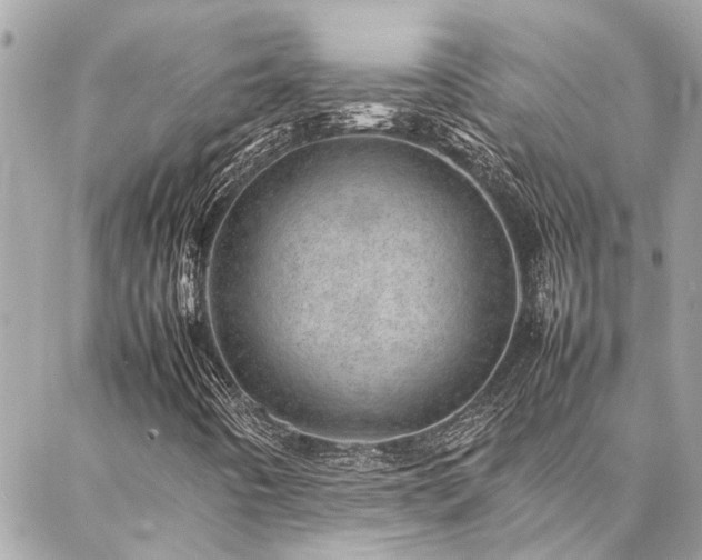 X0000086971442200704161532