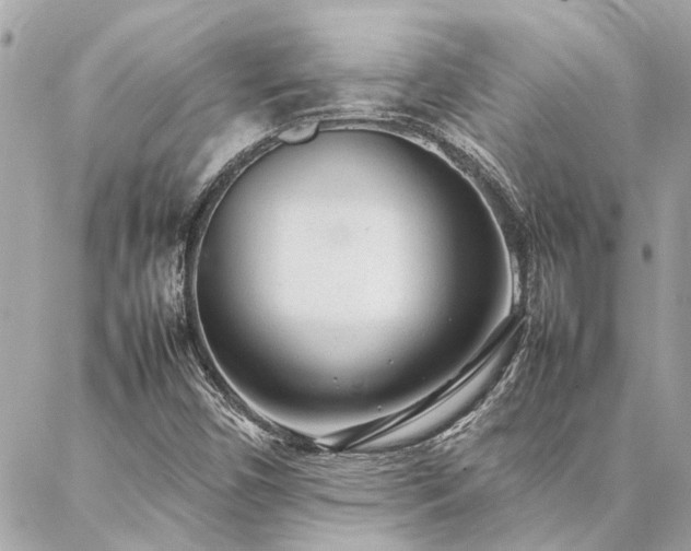 X0000086971450200704161531