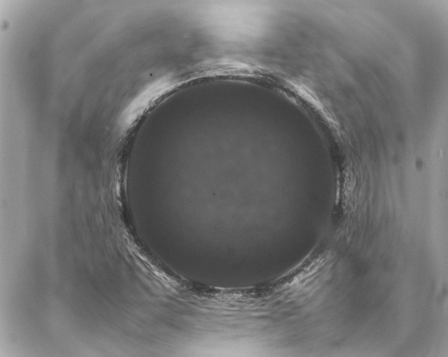 X0000086971455200704161531